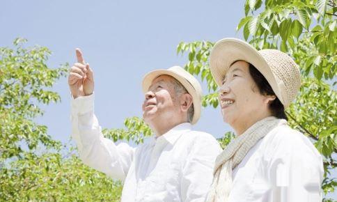 散步能养生 但老年人晚上散步别贪多
