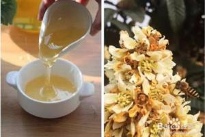 喝蜂蜜对感冒有好处吗感冒咳嗽能喝蜂蜜水吗.
