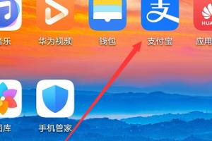 蚂蚁庄园小鸡去哪了，小鸡怎么找回.