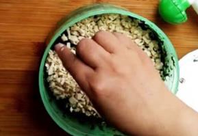 制作马兰拌香干