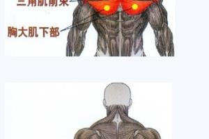 什么样的哑铃好？怎么做下斜哑铃卧推.