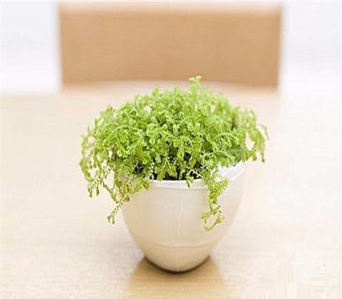 一天面对电子商品,如何减少眼睛疲劳