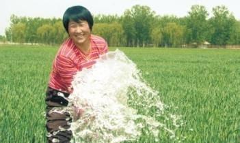 小麦高产的经验
