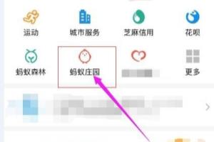 蚂蚁庄园小鸡仔怎么使用蹭饭卡去好友家蹭饭.