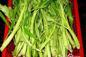 怎样炒空心菜.