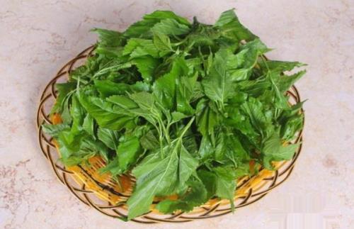 明目吃什么?适合明目吃的6种食物