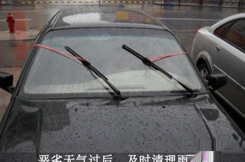 雨刷器的大学问 教你冬季保养挑选六要素
