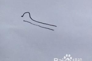 天鹅简笔画教程：怎么画天鹅，如何画天鹅？.