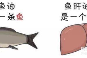鱼油是鱼肝油吗？为什么要吃深海鱼油？.