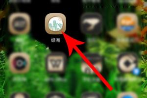 绿洲怎么加通讯录好友.