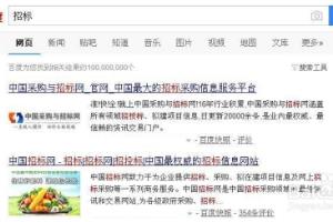 通过什么途径查看招标信息.