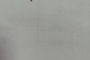 怎么画可爱的小老虎.