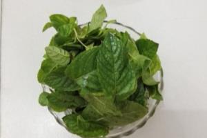 茴香薄荷软饼.