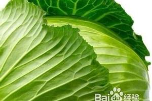 diy面膜：消炎排毒圆白菜绿豆粉面膜.