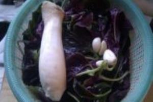 苋菜杏鲍菇的做法.