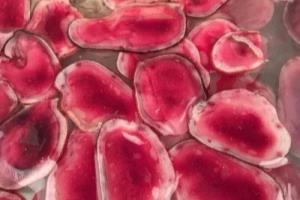 新鲜鹿茸怎么处理.