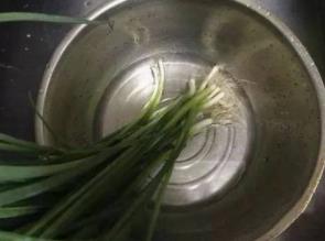 小葱不放冰箱,还能怎么保存?