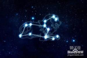 狮子座的简介？.