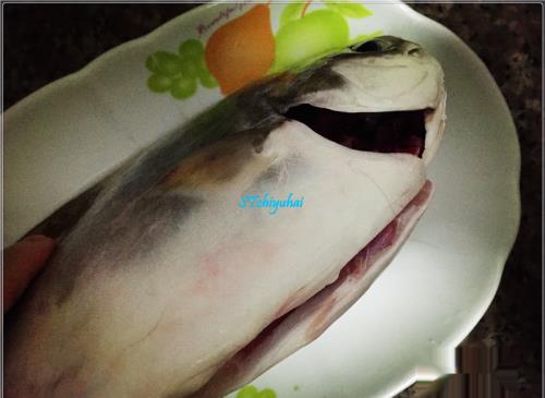 家常菜系蒜葱烧金鲳