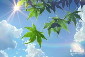 怎样去黑头最快最有效.