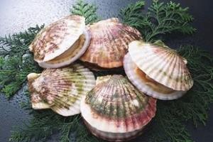 干燥后可得粉末状的粗多糖。.