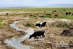 “消失的湖”，有一种说法是地下有溶岩通道.