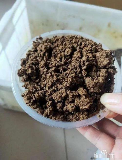 门口挖点土,肥得直流油,赶紧给花用上