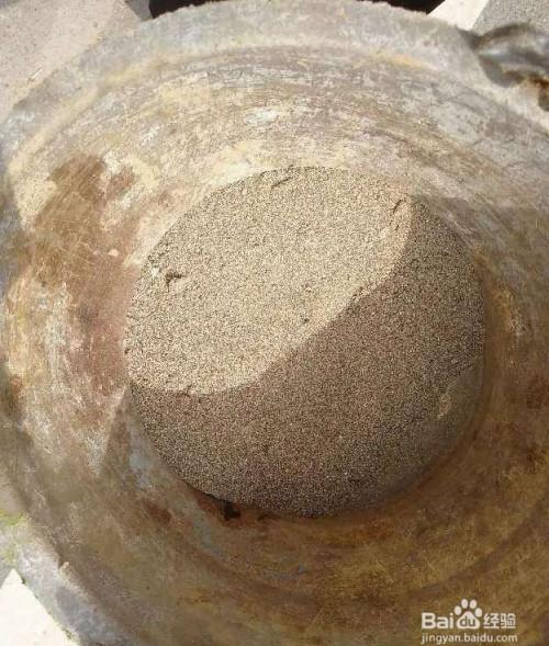 门口挖点土,肥得直流油,赶紧给花用上