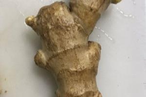 养生姜包蛋煮面条.