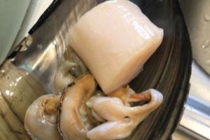 蒸蒜蓉粉丝带子.