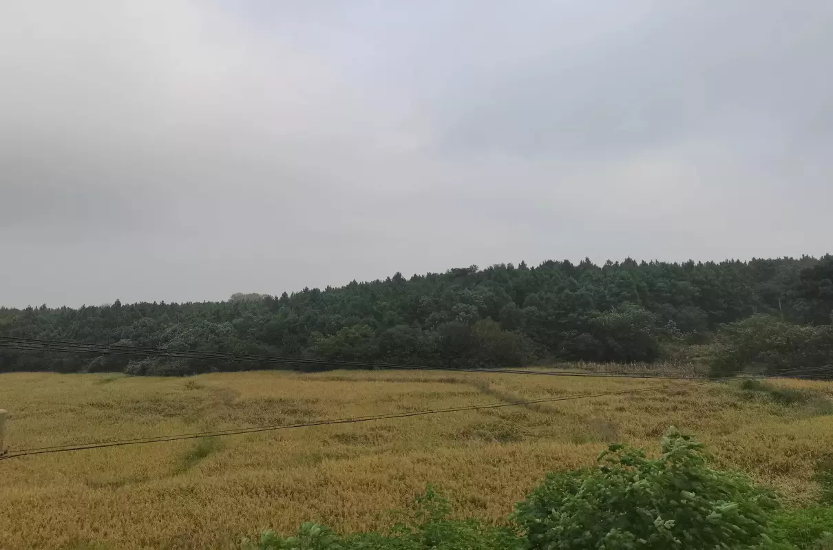 漂亮的姐姐(1)