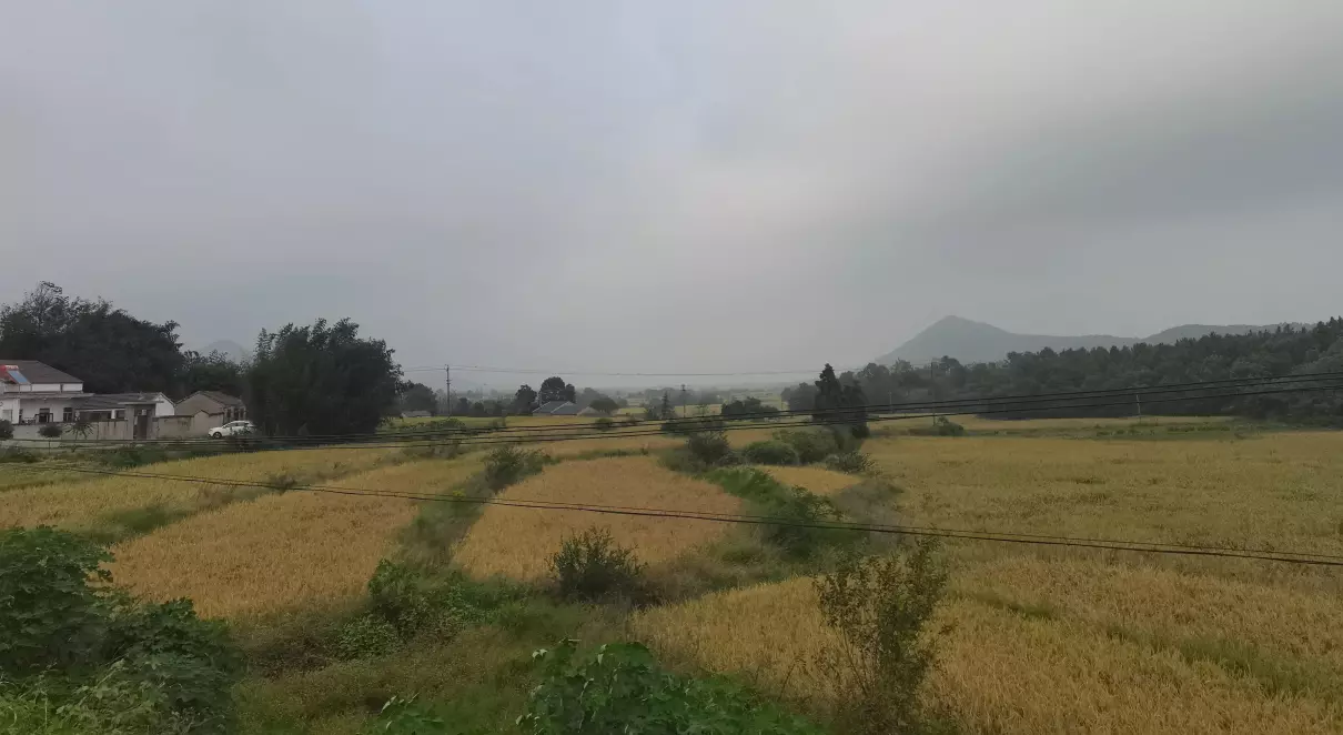 漂亮的姐姐(2)
