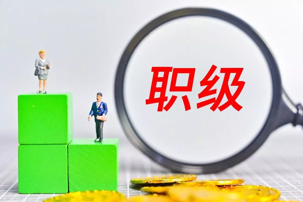 二级巡视员是什么级别(1)