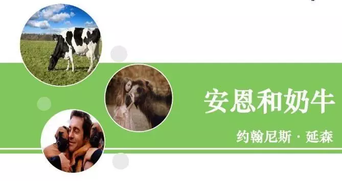 安恩和奶牛是几年级的课文(2)