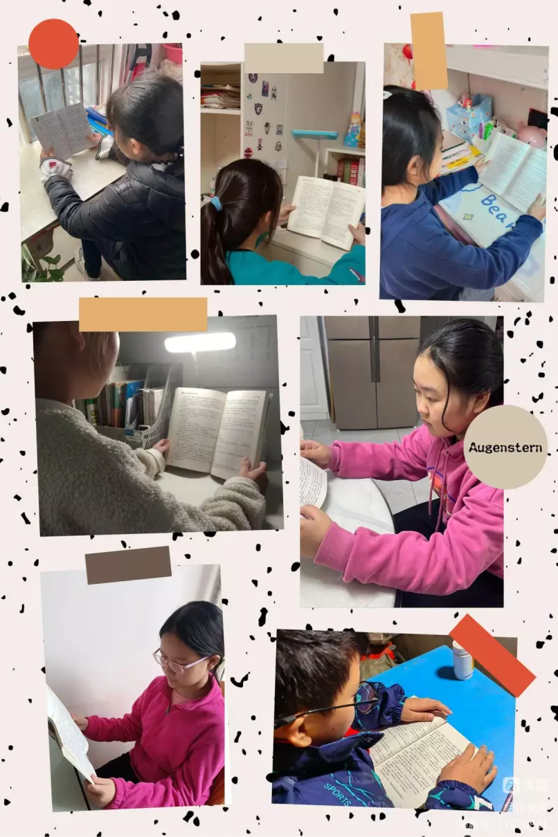 童年的读书分享会怎么写(4)
