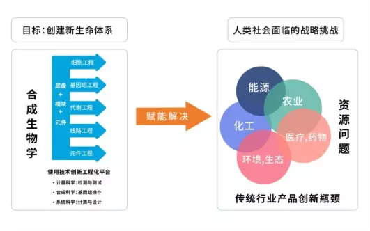 合成生物学专业大学排名(3)