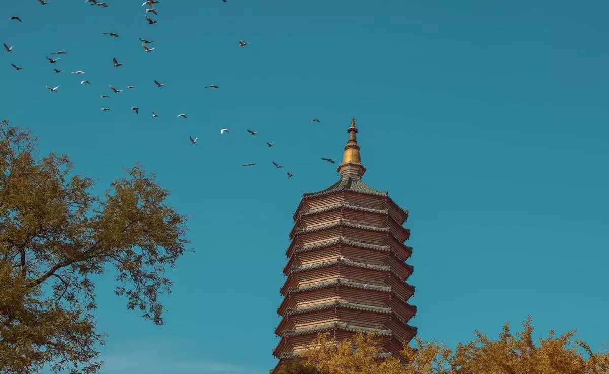 北京台湾街有什么好玩的地方(10)