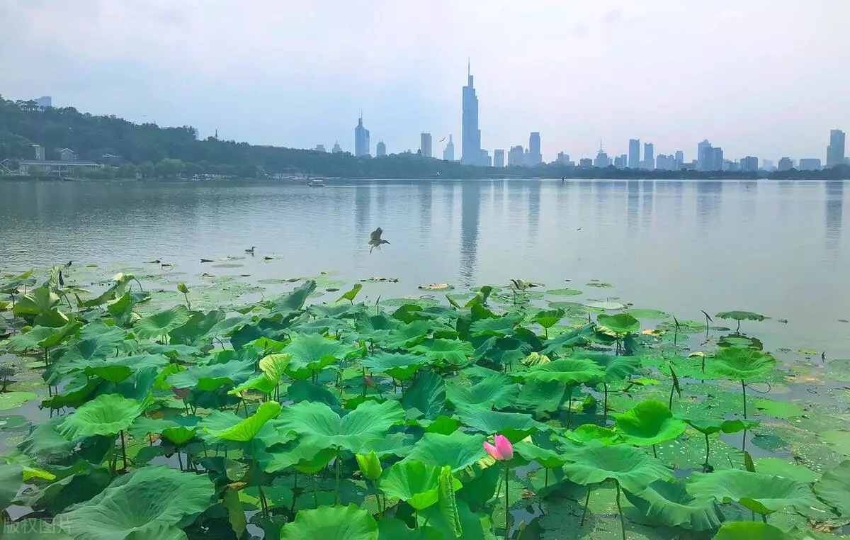 南京旅游景点大全景点排名(37)