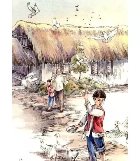 《草房子》桑桑的故事有哪些(3)