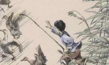 《草房子》桑桑的故事有哪些(4)