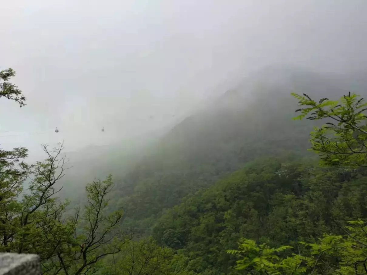 泰山门票没有红门怎么办(1)