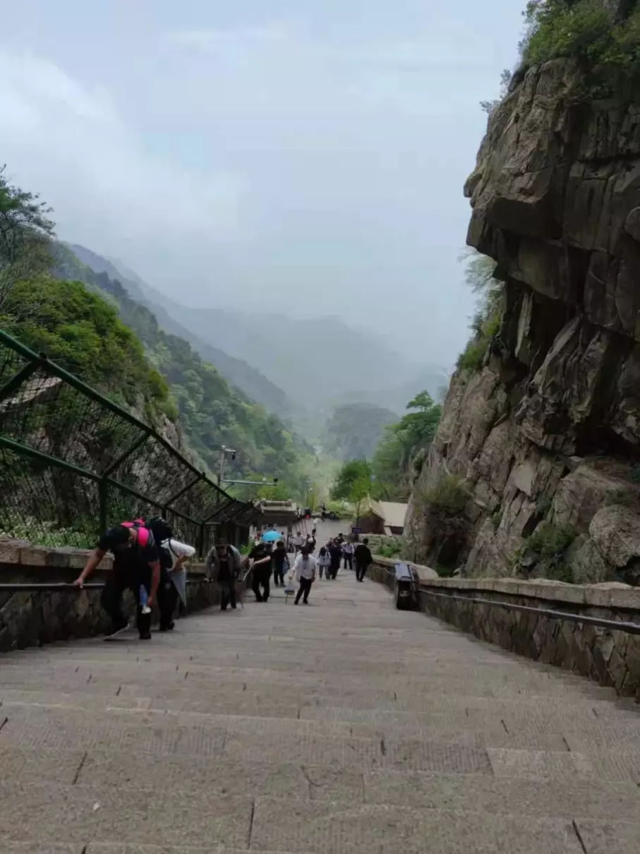 泰山门票没有红门怎么办(3)