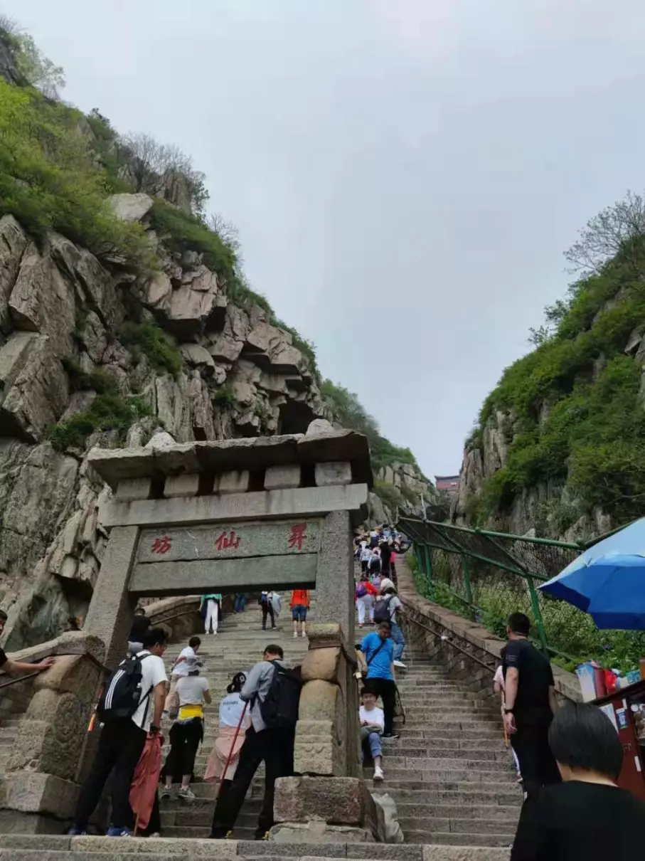 泰山门票没有红门怎么办(4)