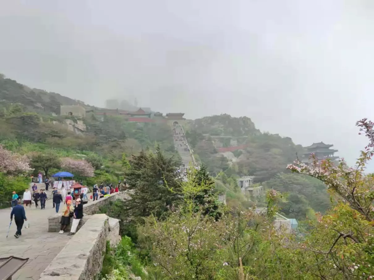 泰山门票没有红门怎么办(6)