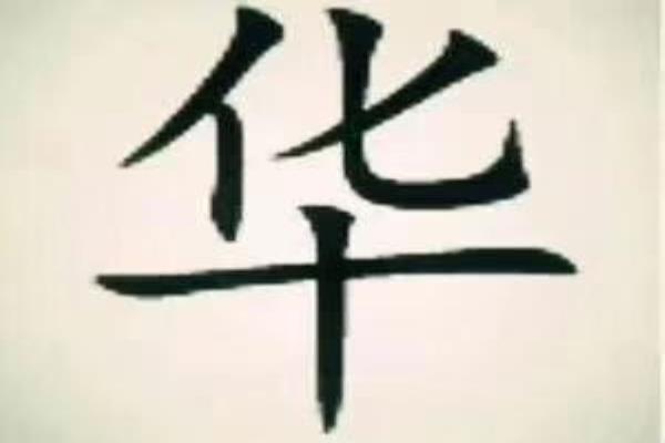 少年华的意思是什么.