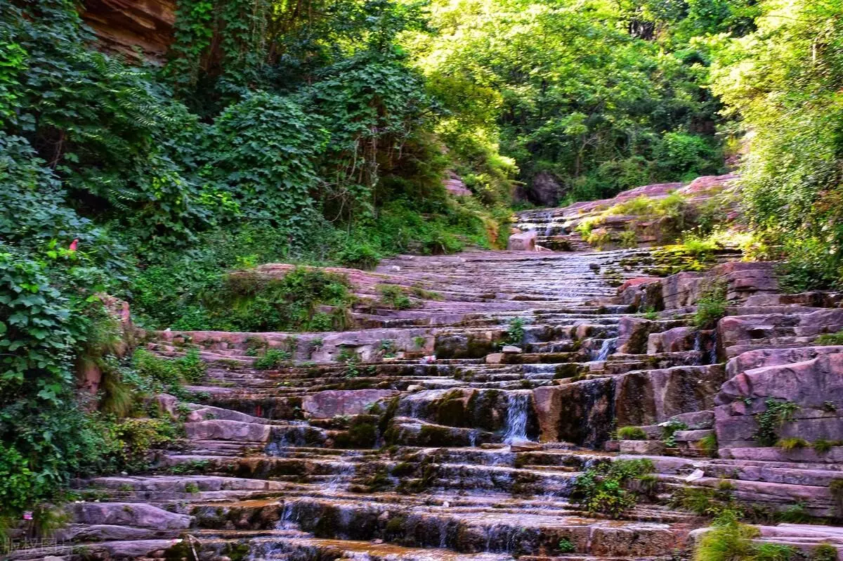 林州有哪些旅游景点(13)
