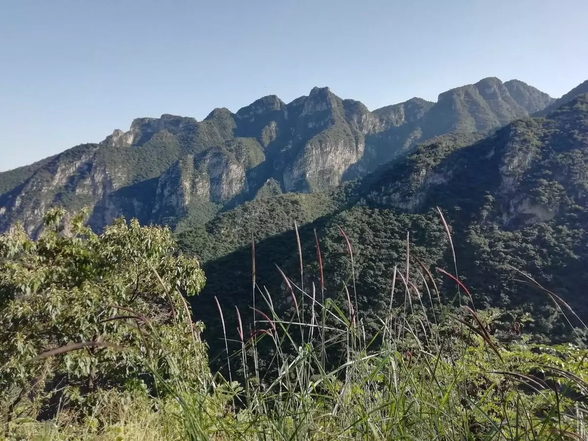 林州有哪些旅游景点(15)
