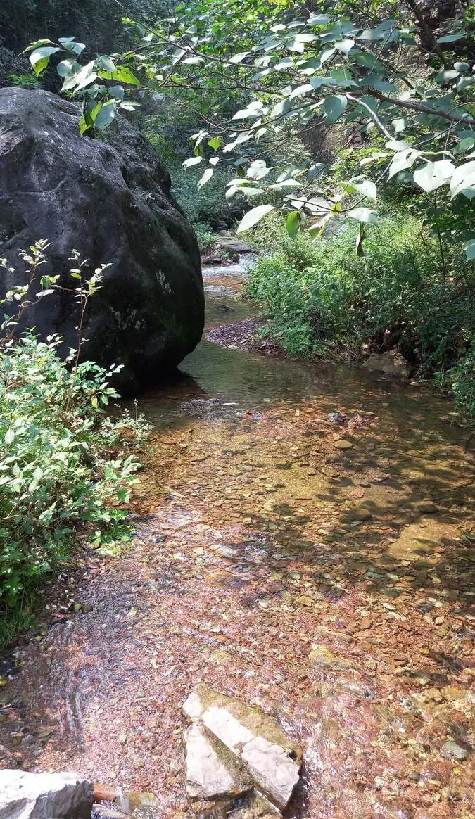 林州有哪些旅游景点(16)