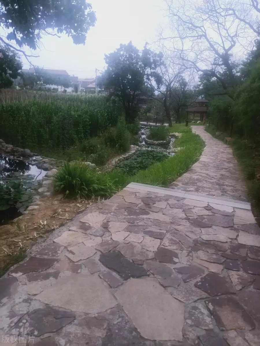 林州有哪些旅游景点(17)