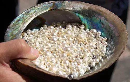 阿联酋和迪拜什么关系那叫从属关系呢(12)